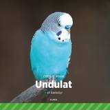 Undulat Undulat - et kæledyr (Ljudbok, MP3, 2019)