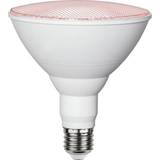 Röda LED-lampor Star Trading 357-36 LED Lamps 16W E27