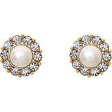 Lily and Rose Miss Sofia Earrings - Gold/Pearl