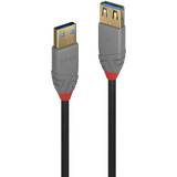 USB A-USB A - USB-kabel Kablar Lindy Anthra Line USB A-USB A 3.1 Gen.1 M-F 3m