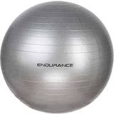 Träningsbollar Endurance Gym Ball 55cm