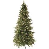 Star Trading Vancouver with LED Green Julgran 225cm