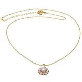 Lily and Rose Sofia Brass Necklace w. Pearl/Swarovski Crystals (40262)