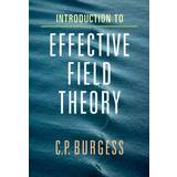 Effective c++ Introduction to Effective Field Theory (Inbunden, 2020)