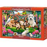 Castorland Klassiska pussel på rea Castorland Pets in the Park 1000 Bitar