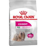 Mini (1-10kg) Husdjur Royal Canin Mini Exigent Adult 3kg