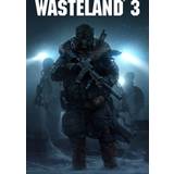Kooperativt spelande - RPG PC-spel Wasteland 3 (PC)