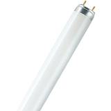 Osram Lumilux T8 Fluorescent Lamp 36W G13 830