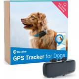GPS & Bluetooth-trackers Tractive GPS Tracker for Dogs