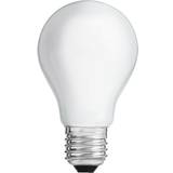 Globen Lighting LED-lampor Globen Lighting L116 LED Lamps 7W E27