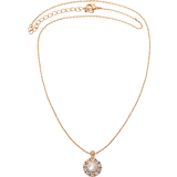 Lily and Rose Sofia Necklace - Gold/Pearl