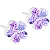 Blomdahl Stiftörhängen Blomdahl Flower Earrings - White/Violet