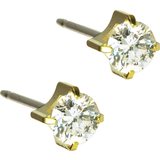 Guld Örhängen Blomdahl Skin Friendly Earrings 5mm - Gold/White