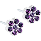Smycken Blomdahl Daisy Earrings 5mm - White/Purple