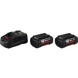Laddare - Li-ion Batterier & Laddbart Bosch 2 x GBA 36V 6.0Ah + GAL 3680 CV Professional