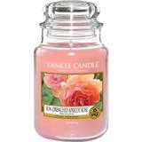 Yankee Candle Doftljus Yankee Candle Sun Drenched Apricot Rose Large Doftljus 623g