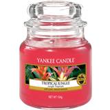 Yankee Candle Doftljus Yankee Candle Tropical Jungle Small Doftljus 104g