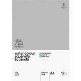 Winsor & Newton Papper Winsor & Newton Classic Water Colour Pad Cold Press A4 300g 12 sheets