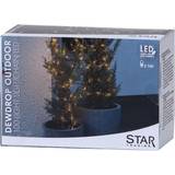 Silver Ljusslingor & Ljuslister Star Trading Dew Drop Ljusslinga 100 Lampor