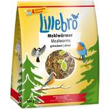 Fågel & Insekter - Torrfoder Husdjur Lillebro Mealworms 0.5kg