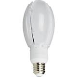 Ljuskällor NASC Olive LED Lamp 24W E27