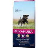 Eukanuba Vitamin B Husdjur Eukanuba Developing Junior Large Breed with Chicken 15kg