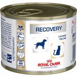 Royal Canin Hundar - Mjölk Husdjur Royal Canin Recovery 0.2kg
