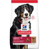 Hill's Lamm Husdjur Hill's Science Plan Large Breed Adult Dog Food with Lamb & Rice 14