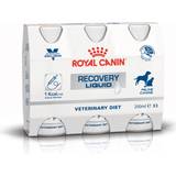 Royal Canin Hundar - Mjölk Husdjur Royal Canin Recovery Liquid