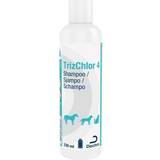 Hundschampon - Katter Husdjur Dechra TrizChlor 4 Shampoo 0.2L