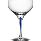Intermezzo blå champagneglas Orrefors Intermezzo Coupe Champagneglas 30cl