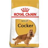 Hundfoder Husdjur Royal Canin Cocker Adult 12kg