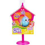 Little live pets fågel Moose Little Live Pets Lil’ Bird & Bird House