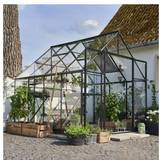 Härdat glas Fristående växthus Halls Greenhouses Qube+ 88 6.6m² 3mm Aluminium Härdat glas