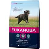 Eukanuba Giant (>45kg) - Hundar Husdjur Eukanuba Active Adult Large Breed with Chicken 3kg