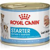Burkar Husdjur Royal Canin Starter Mousse 0.2kg