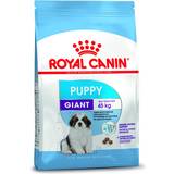 Royal Canin Giant (>45kg) - Hundar Husdjur Royal Canin Giant Puppy 15kg