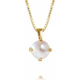 Pearl Necklaces Halsband Caroline Svedbom Classic Petite Necklace - Gold/Pearl