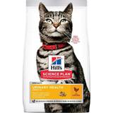 Hill's Katter - Selen Husdjur Hill's Science Plan Urinary Health Adult Cat Food with Chicken 7