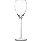 Byon Champagneglas Byon Opacity Champagneglas 16cl