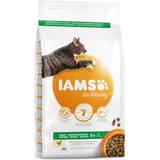 IAMS Pro Active Health Adult Chicken