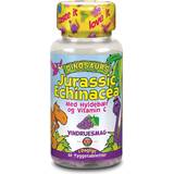 Kal D-vitaminer Vitaminer & Kosttillskott Kal DinoSaurs Jurrasic Echinacea 30 st