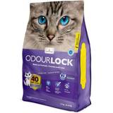 Intersand Husdjur Intersand Odour Lock Lavender Field