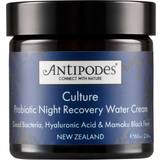 Antipodes Ansiktsvård Antipodes Culture Probiotic Night Recovery Water Cream 60ml