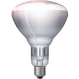 Dimbara Lågenergilampor Philips R125 IR Energy-Efficient Lamps 150W E27