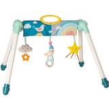 Babyleksaker Taf Toys Mini Moon Take To Play