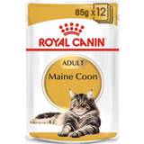 Våtfoder Husdjur Royal Canin Maine Coon 12x85g