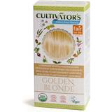Anti-Pollution Toningar Cultivators Organic Herbal Hair Color Golden Blonde 100g