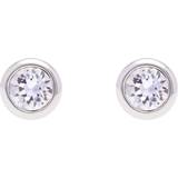 Ted Baker Smycken Ted Baker Sinaa Studs - Silver/Transparent