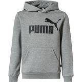 Puma Essentials Big Logo Youth Hoodie - Medium Gray Heather (586965-03)